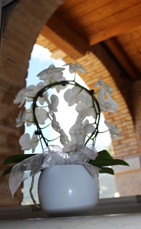 Apartmán Giardino Degli Ulivi Caprino Veronese Exteriér fotografie