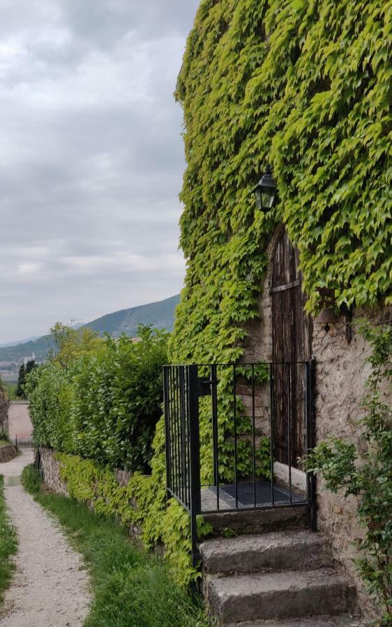 Apartmán Giardino Degli Ulivi Caprino Veronese Exteriér fotografie