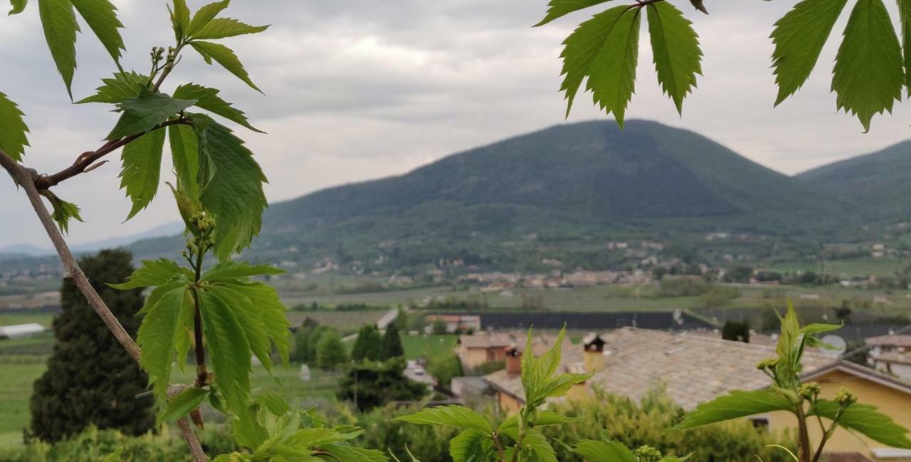 Apartmán Giardino Degli Ulivi Caprino Veronese Exteriér fotografie